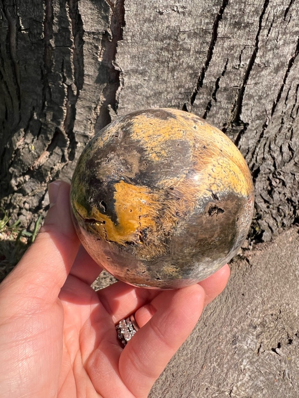 Graveyard (2) point plume agate Sphere | crystal ~ uv reactive
